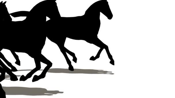 Beaucoup de chevaux silhouette — Video