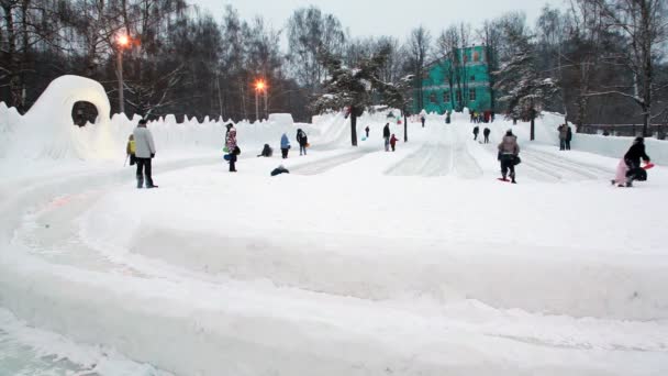 Riposare nel parco invernale, andare a guidare su sentieri ghiacciati sgomberati — Video Stock