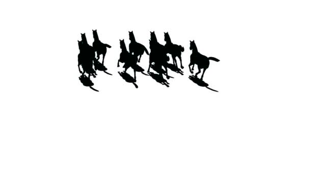 Troupeau de chevaux silhouette la vue de dessus  .