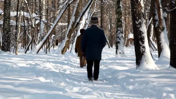 Coppia anziana andare a fare una passeggiata con un cane nella foresta invernale — Video Stock