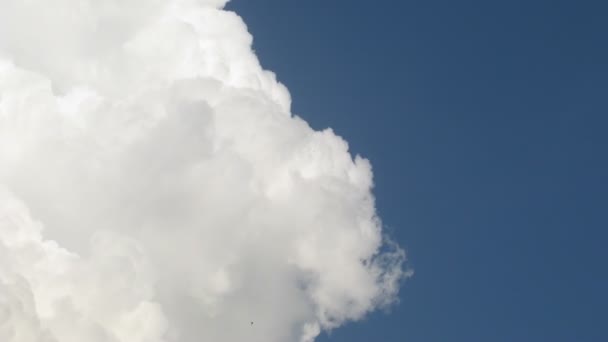 Witte wolken drijven op de zomer hemel. — Stockvideo