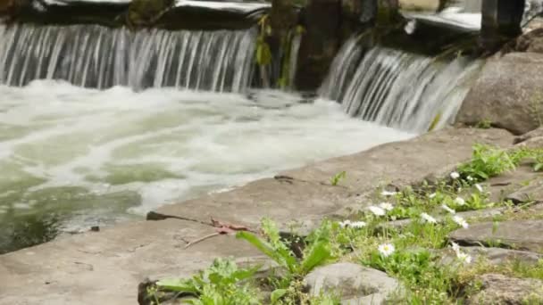 Arroyo claro corriendo tranquilamente por piedras y buena esclusa de madera — Vídeos de Stock