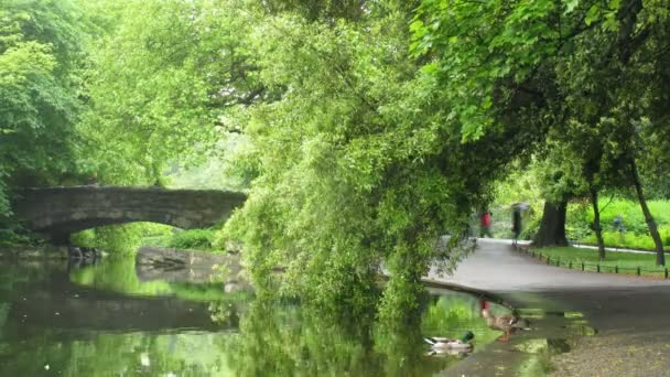 Saint stephens green park Dublin, İrlanda. — Stok video