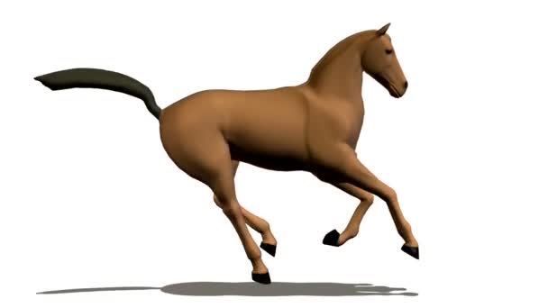 běžící kůň