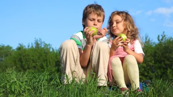 Menino com menina sentado e comendo maçãs ao ar livre — Vídeo de Stock