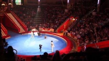 Arena tsvetnoy Bulvarı, Moskova, Rusya eski nikulin sirk poodles palyaçolarla