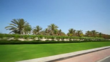 avuç içi ve hareketli araba Umman çalılar görüntüleyin