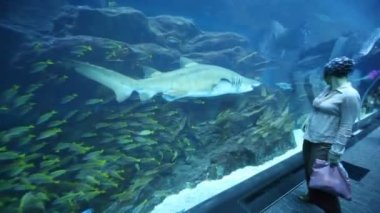 Balık geriye bakarak hareket oceanarium kadında