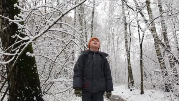 Kid in winter forest looks up to sky — Stock Video