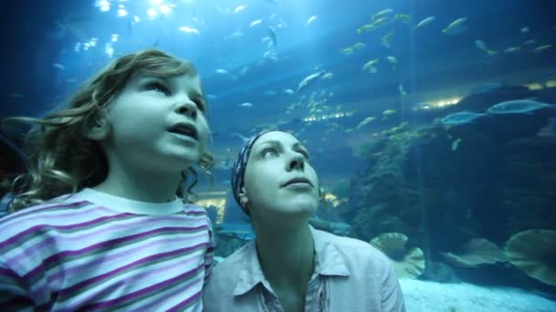 Женщина и девушка на близком расстоянии в океанариуме — стоковое видео