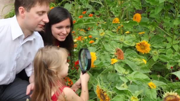 Dziewczynka i jej rodzice odkrywanie kwiat z lupą — Wideo stockowe