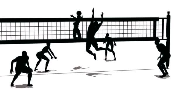 Silhouette de volley — Video