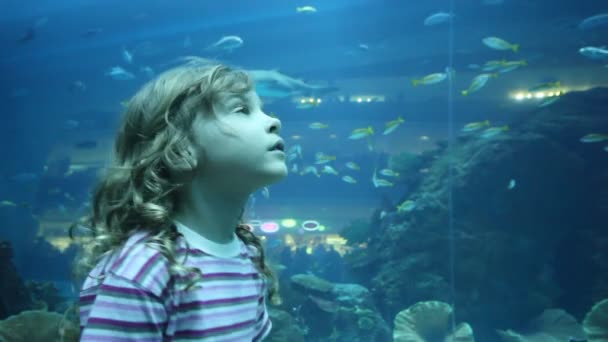 Girl on close shot standing in oceanarium — Stock Video