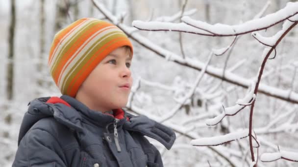 El niño sacude la rama del árbol de invierno cae nieve — Vídeos de Stock