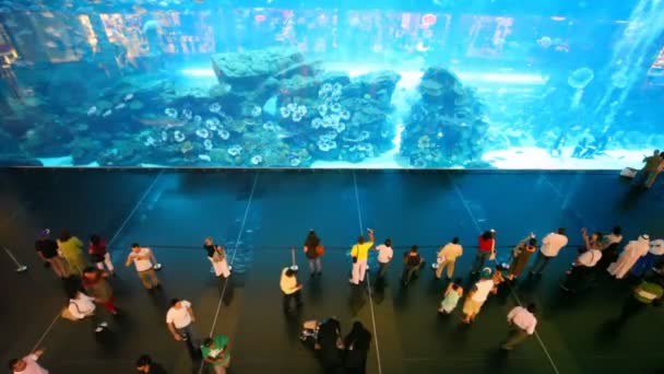 Vista superior em perto do aquário dentro do Dubai Mall em Dubai, Emirados Árabes Unidos . — Vídeo de Stock