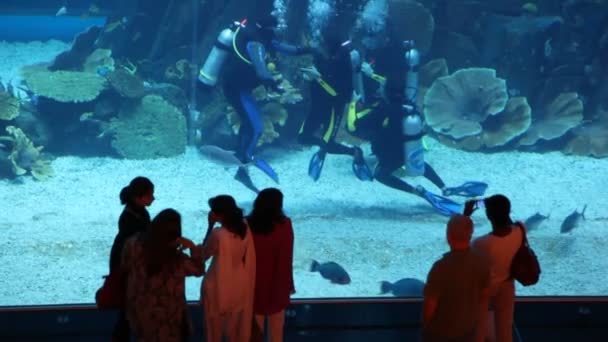 Some near aquarium with divers inside Dubai Mall in Dubai, UAE. — Stock Video