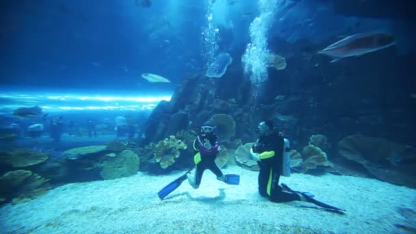 Deux plongeurs dans l'océanarium à l'intérieur du Dubai Mall — Video