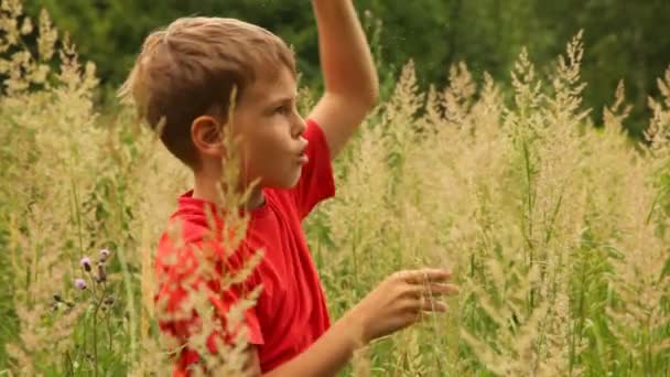 Мальчик бросает семена. — стоковое видео