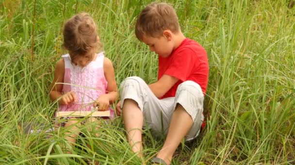 Frère et sœur mettent les chiffres dans les équations — Video