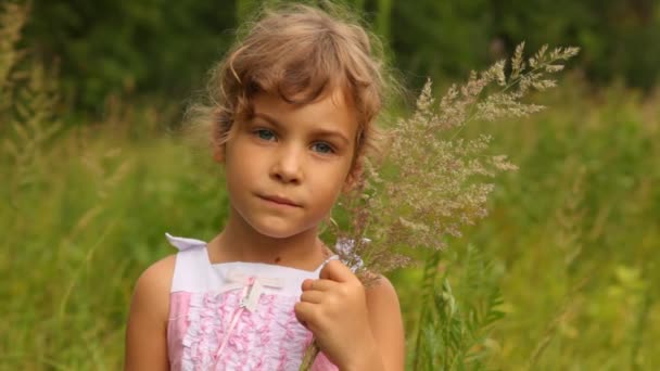 Dziewczyna trzyma źdźbła trawy, które ona zebrał w dziedzinie — Wideo stockowe