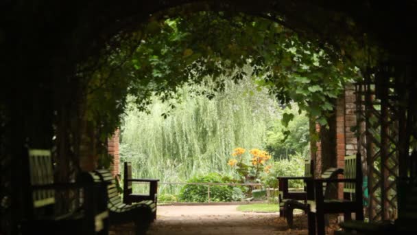 Túnel de plantas oscuras con pocas curvas con vista a algún jardín — Vídeo de stock