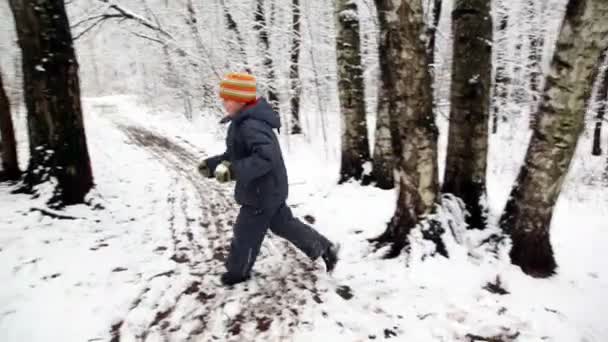 Niño con bola de nieve corre alrededor en el bosque de nieve — Vídeo de stock