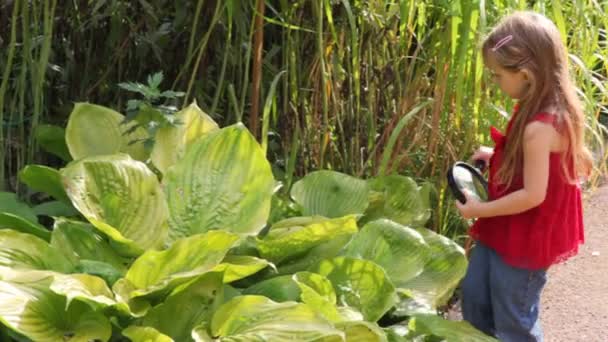Mädchen entdecken Pflanzen im Freien mit Lupe — Stockvideo