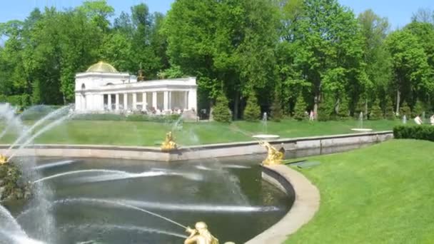 Fontein in park petergof in de zomer — Stockvideo