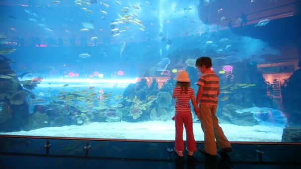 Vue arrière des enfants à l'aquarium — Video