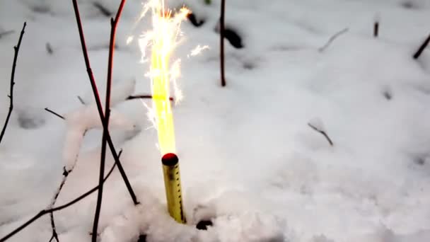 Fuegos artificiales en la nieve en el bosque de invierno — Vídeo de stock