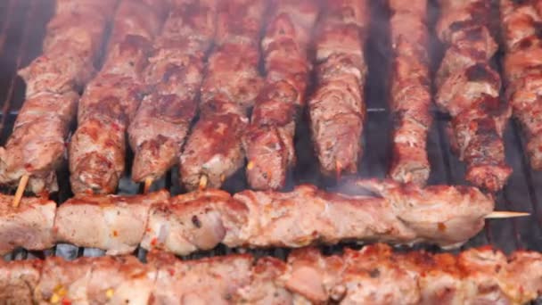 Close-up shot of shish kebab roasting on fire in chargrill — Stock Video