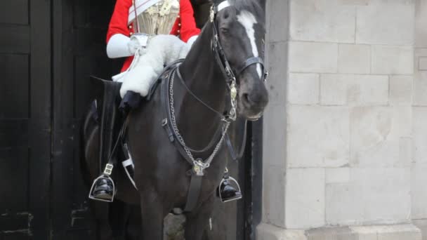 Cavalo e guarda não identificada de uniforme em Londres — Vídeo de Stock