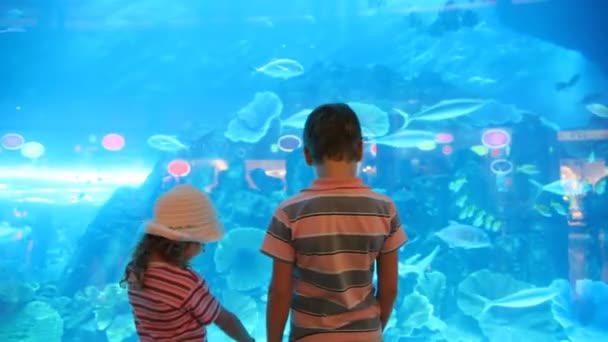 Two children at aquarium speaking with each other — Stock Video