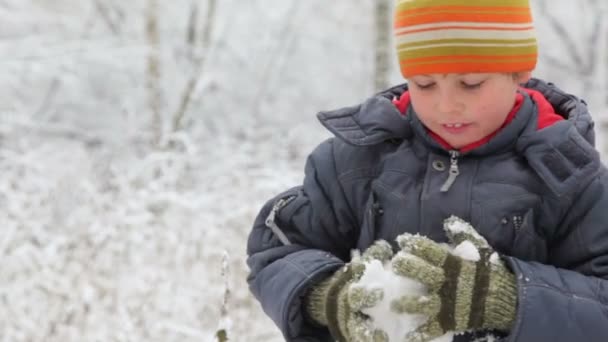 Niño hace y lanza bola de nieve en el bosque de invierno — Vídeos de Stock