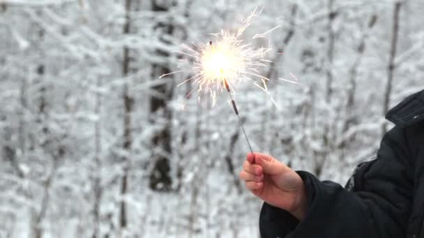 Фейерверк в детской руке в снежном лесу — стоковое видео