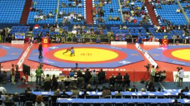 kadın pehlivanlar güreş Dünya Şampiyonası 2010 fila üzerinde