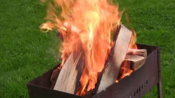 Flammen über im Hof stehendem Grill — Stockvideo