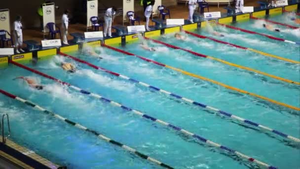 Finish sportsmen swim crawl on open championship of swimming — Stock Video