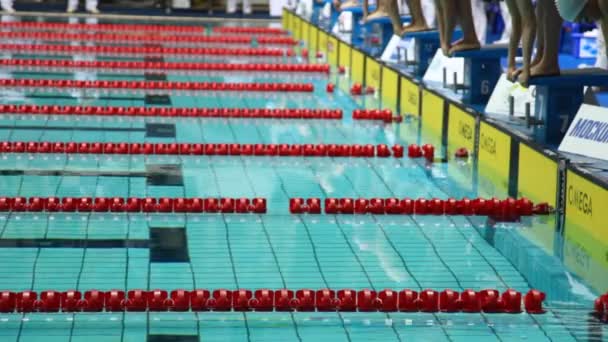Deportivas comienzan a nadar en el campeonato abierto de natación — Vídeo de stock