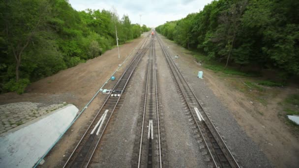 Tren entra bajo puente en bosque — Vídeo de stock