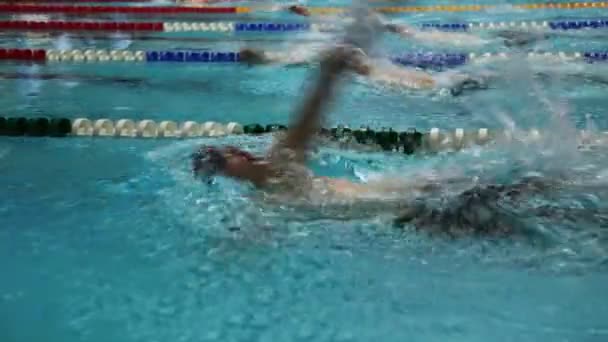 Спортсмены плавают на спине по трекам бассейн — стоковое видео