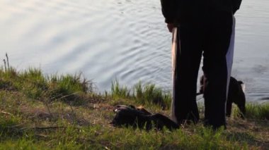 su, o adam oyun köpek doğurmak labrador retriever çıkar