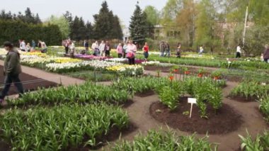 çiçek soğanı ve Bienaller bahar Senfoni VII Sergisi