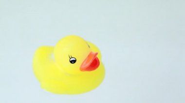 ışıkları ile oyuncak ördek yavrusu closeup yüzen su yanıp söner.