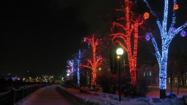 kış, zaman atlamalı road yakınındaki Işıklı ağaçlar