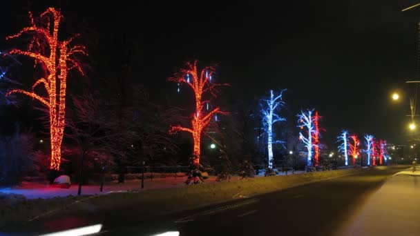 Vehicles pass in front of trees, time lapse — Stock Video