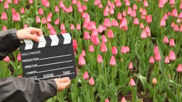 Handen jongen klapt Filmklapper op veld met tulpen — Stockvideo