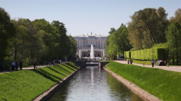 Аллея деревьев и канал в середине фронта Royal Petrodvorets — стоковое видео