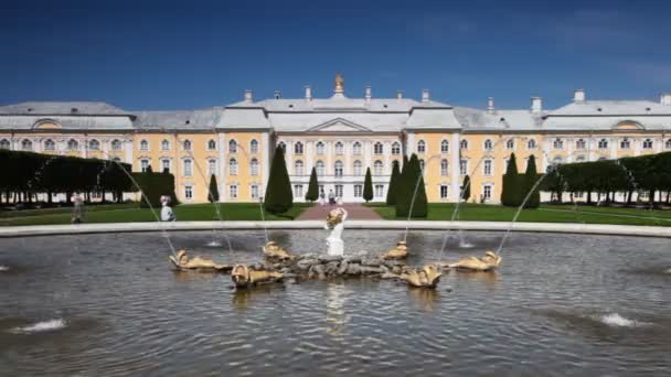 喷泉上部花园橡树在皇家彼得宫前 — 图库视频影像