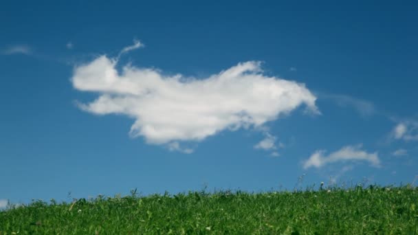 Nuvens se movem no céu azul, fundo prado verde — Vídeo de Stock